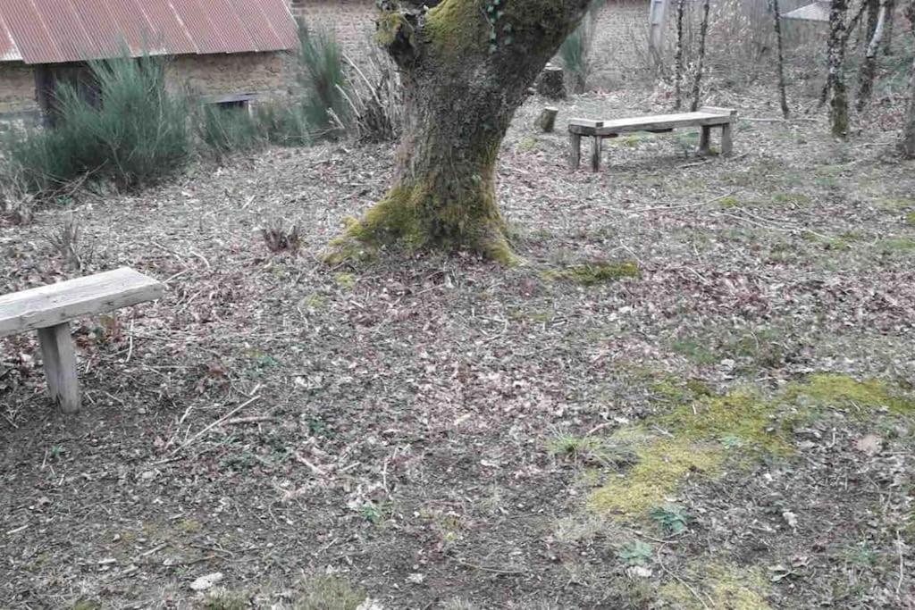 Gite Maison Du Trottoir, Sussac Exteriér fotografie